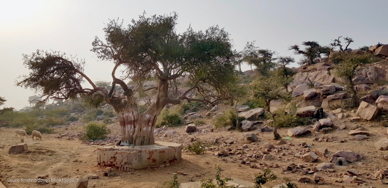  Govardhan hill. 2018.03.14